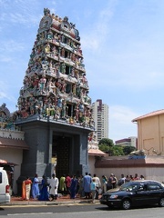 IMG 5577