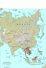 Asia