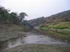 congo summer 06