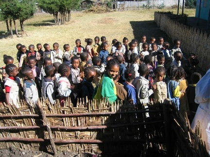 IMG 2550c