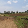 IMG 0482