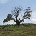 IMG 0484