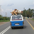 IMG 0489