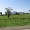 IMG 0494
