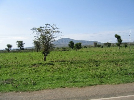 IMG 0494