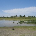 IMG 0497