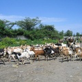 IMG 0501