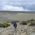 IMG 0614