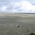 IMG 0616