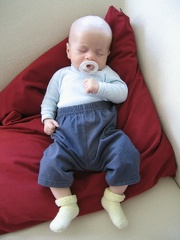 IMG 3029 001