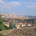 IMG 0891