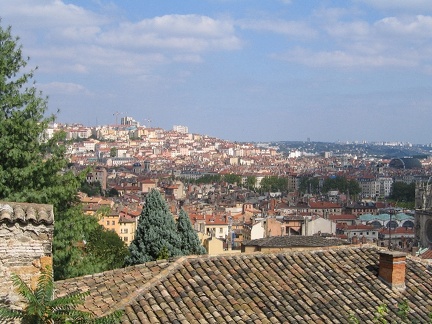 IMG 0891