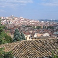 IMG 0892