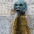 IMG 0901