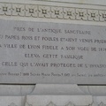 IMG 0905