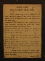 IMG 0907