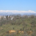 IMG 0230