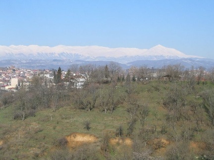 IMG 0230