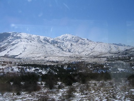 IMG 0237