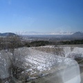 IMG 0239