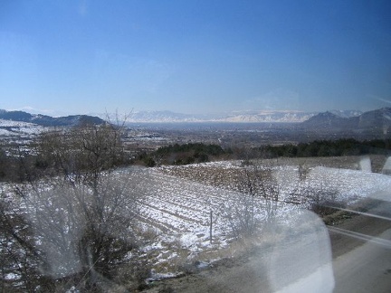 IMG 0239
