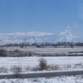 IMG 0241