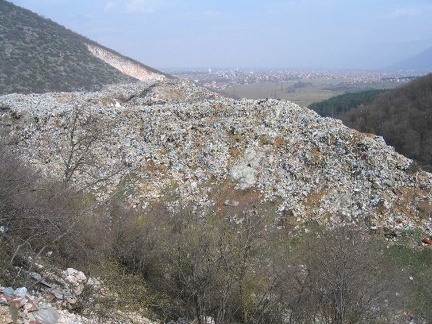 IMG 0381
