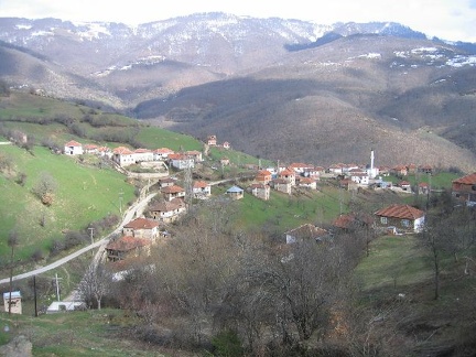 IMG 0382