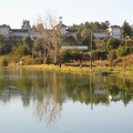 IMG 0752