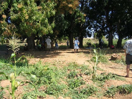 IMG 0775