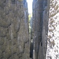 IMG 0852