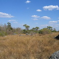 IMG 0853