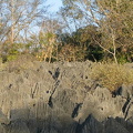IMG 0857