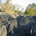 IMG 0859