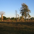 IMG 0891