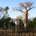 IMG 0893