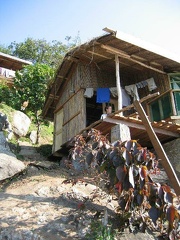 IMG 0612