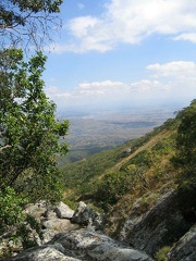 IMG 0643