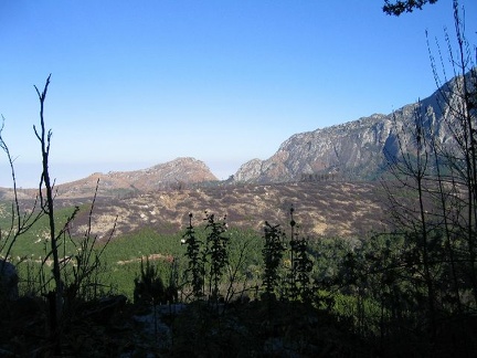 IMG 0649