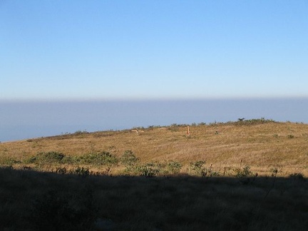 IMG 0678