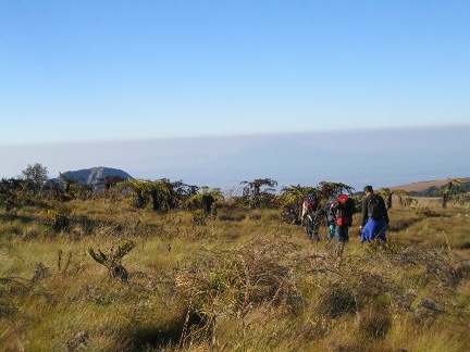 IMG 0679