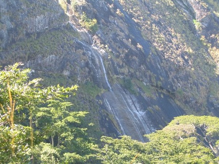 IMG 0683