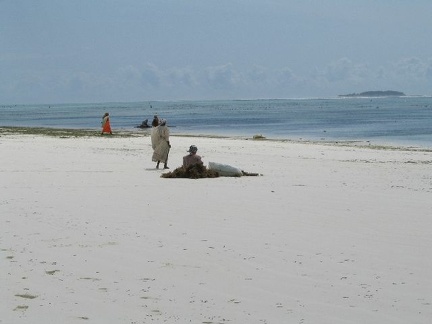 IMG 0210