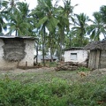IMG 0212