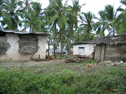 IMG 0212