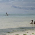 IMG 0236