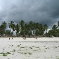 IMG 0239