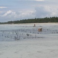 IMG 0241