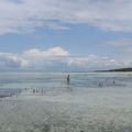 IMG 0243