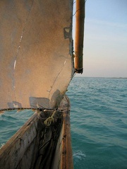 IMG 0252